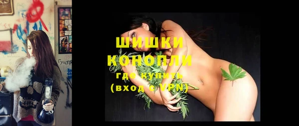 крисы Кодинск