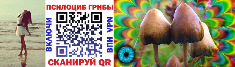 Псилоцибиновые грибы GOLDEN TEACHER Старый Крым