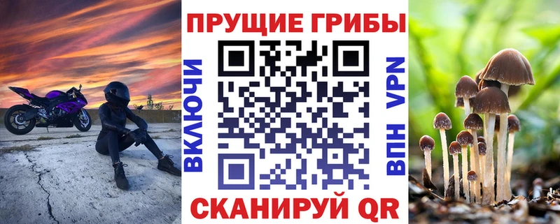 Галлюциногенные грибы ЛСД  Купить  Старый Крым 